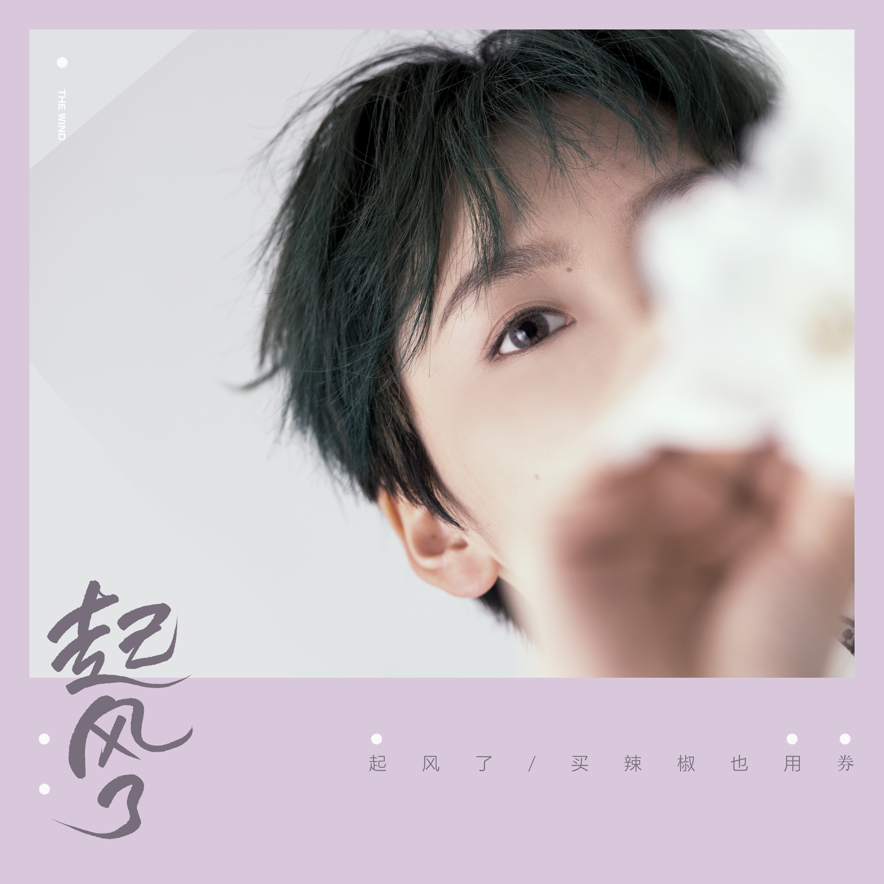起风了封面